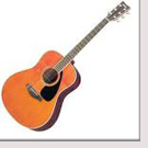 エレキギターエレキベースアコースティック